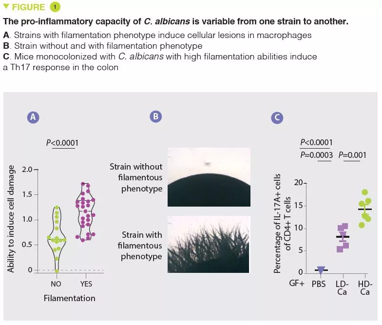 Microbiota 16 articles commentés Fig1