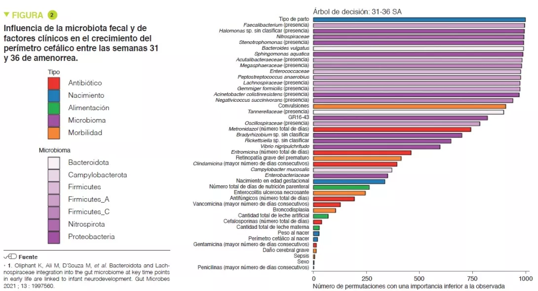 Microbiota 16 Mas fig2 ES