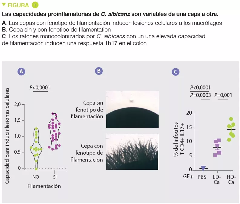 Microbiota 16 Sokol fig1 ES