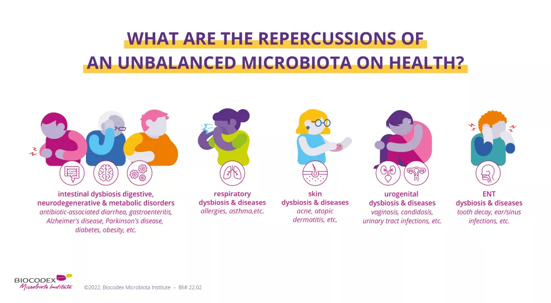 Infog: Dysbiosis and pathologies - EN