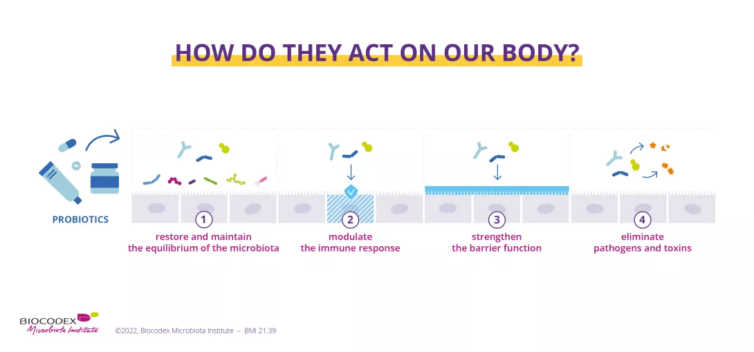 There are products that can protect our microbiota, called probiotics. Indeed, probiotics restore and maintain the equilibrium of the microbiota, they modulate the immune response, strengthen the barrier function and will also eliminate pathogens and toxins.