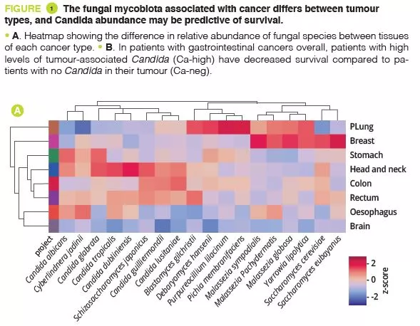 Microbiota 18 Fig1A article commenté adulte EN 