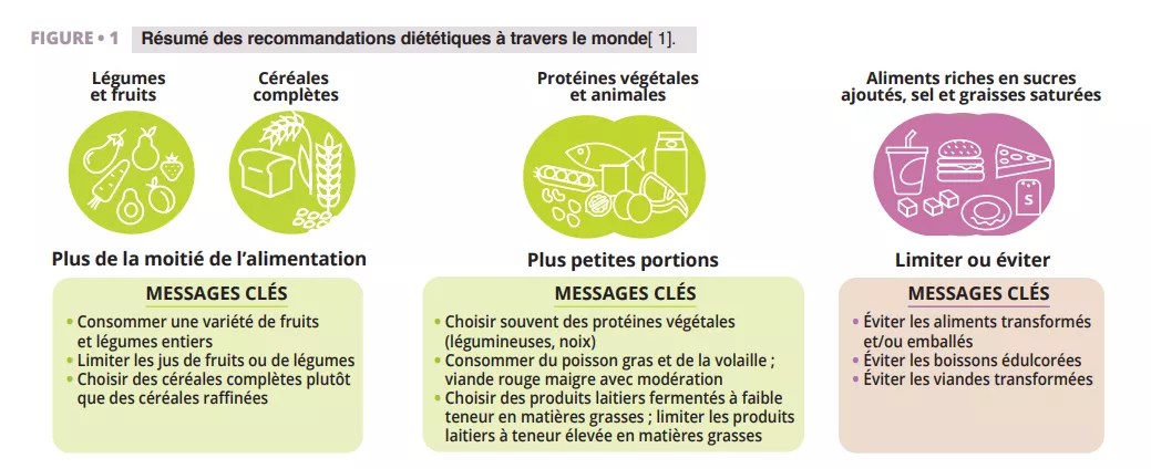 Infographie sur les recommandations alimentaires mondiales : privilégier fruits, légumes, céréales complètes, limiter sucres, sel et graisses pour soutenir la santé intestinale et le microbiote.