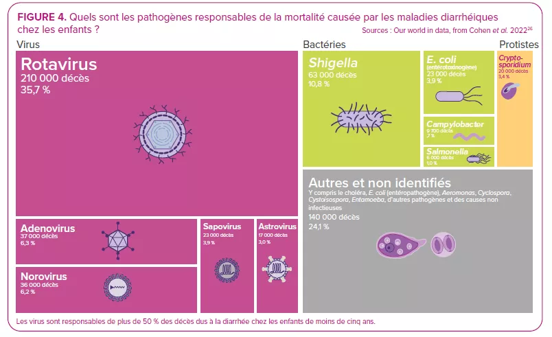 Quels sont les pathogènes responsables de la mortalité causée par les maladies diarrhéiques chez les enfants ?