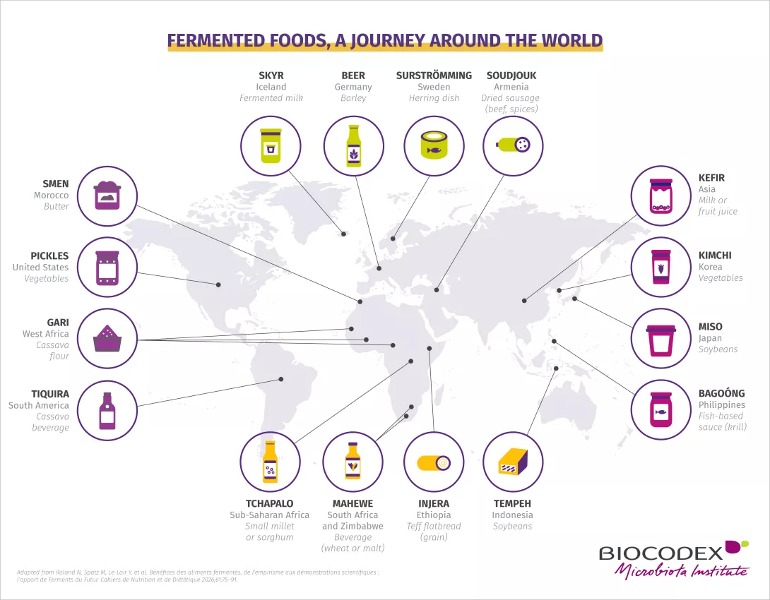 Inforgraph A world tour of fermented foods