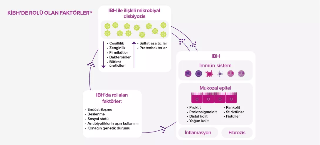 BiocodexMICI_TUR0303-article3