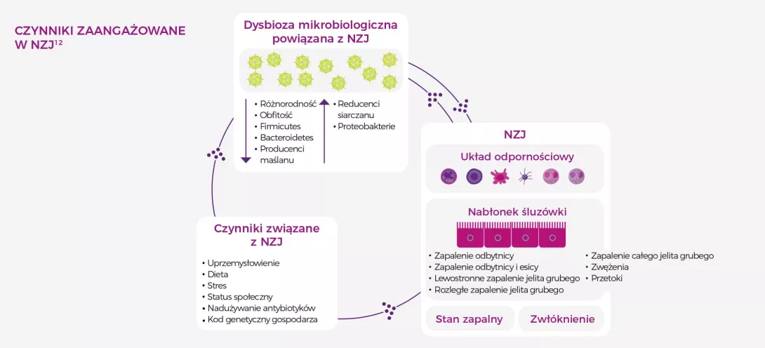 Czynniki-zaangazowane-w-NZJ