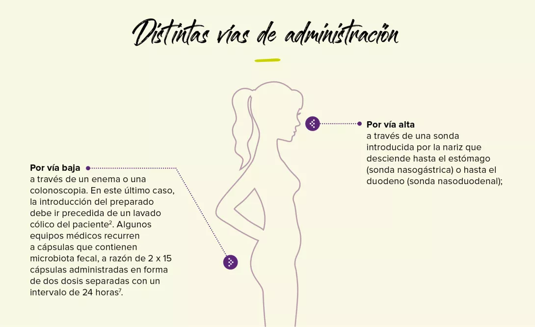 El-TMF-en-la-práctica-2