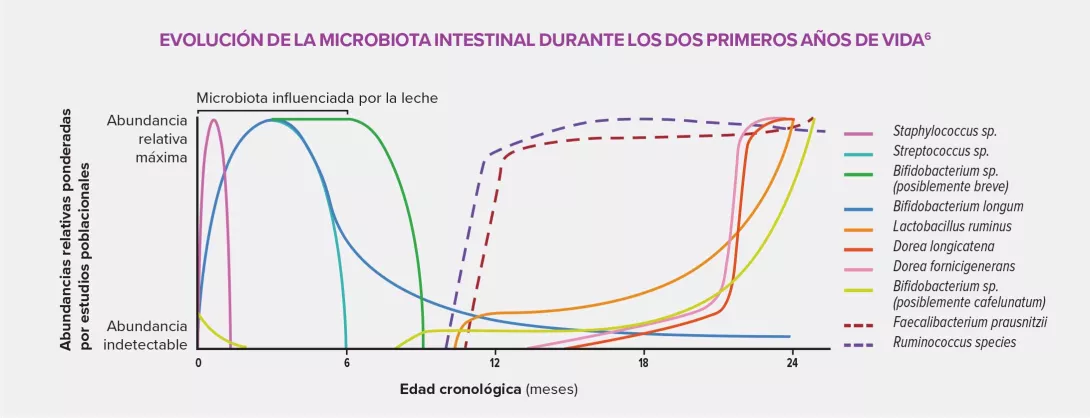 Enfoque-riesgos-EII-infografia-1