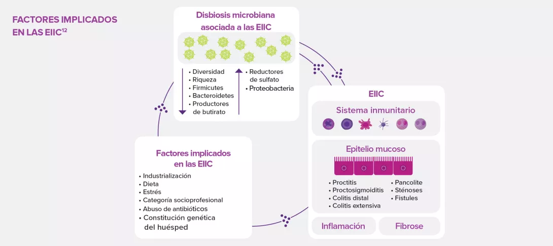 Enfoque-sobre-el-papel-de-los-péptidos-antimicrobianos