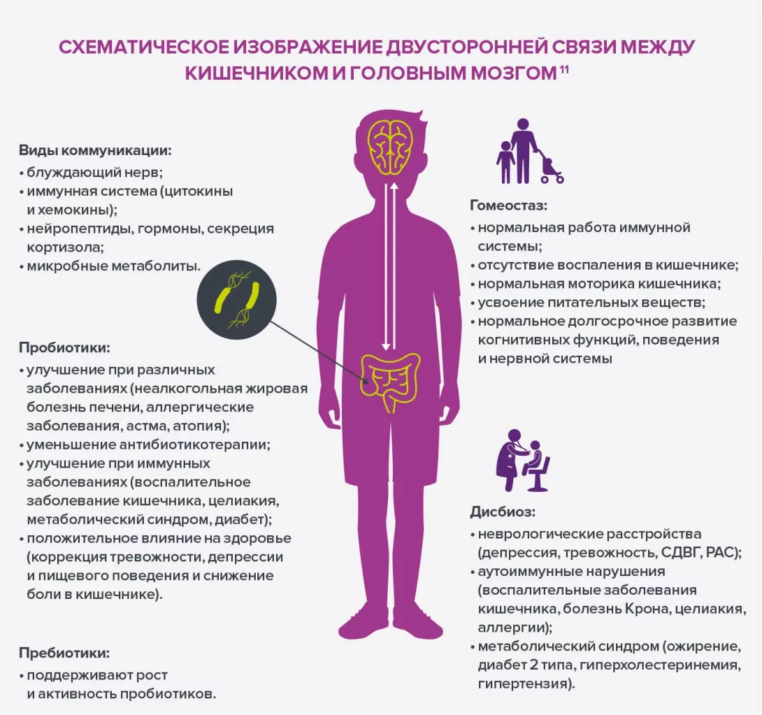 Gut-brain-axis-RU-infographie-1