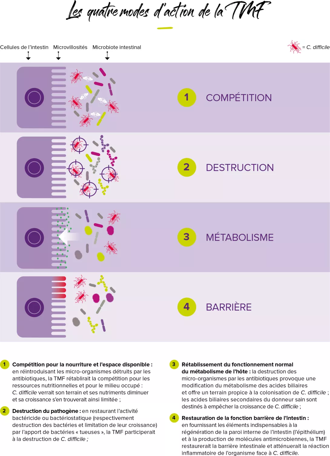 Modes-action-tmf-infographie-1