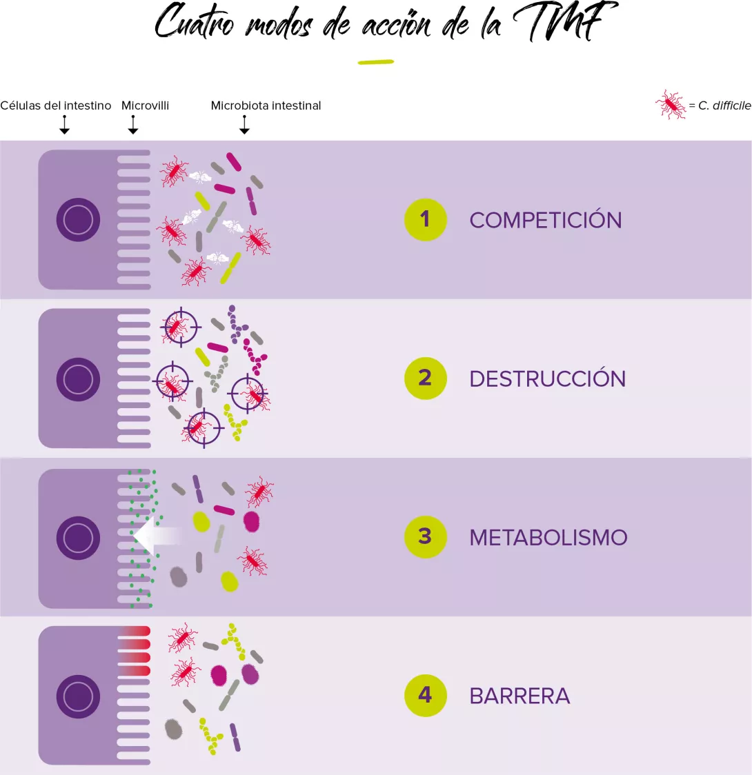 Modos-de-accion-de-la-TMF