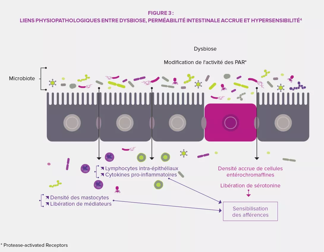 TFI-troubles-fonctionnels-infographie3