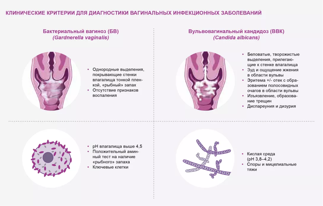 Микроскопическое исследование