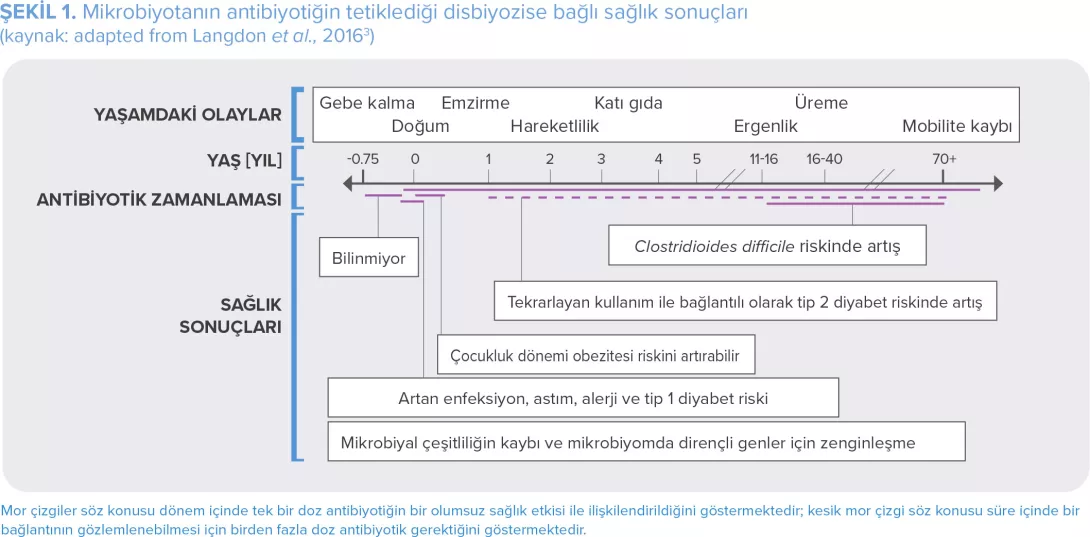 Figure1_Special-Folder_Antibiotics-&-Microbiota_TR