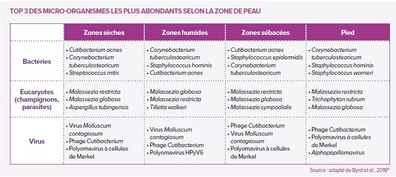 A chacun ses microbiotes cutanés