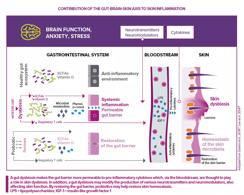 Gut-brain-skin axis
