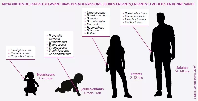 Microbiote cutané sous influence